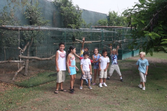 Jaulas de reptiles